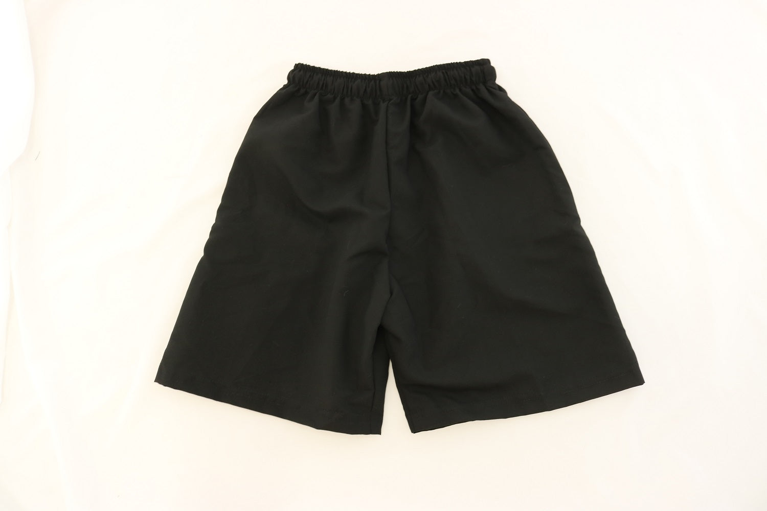 Microfibre Shorts